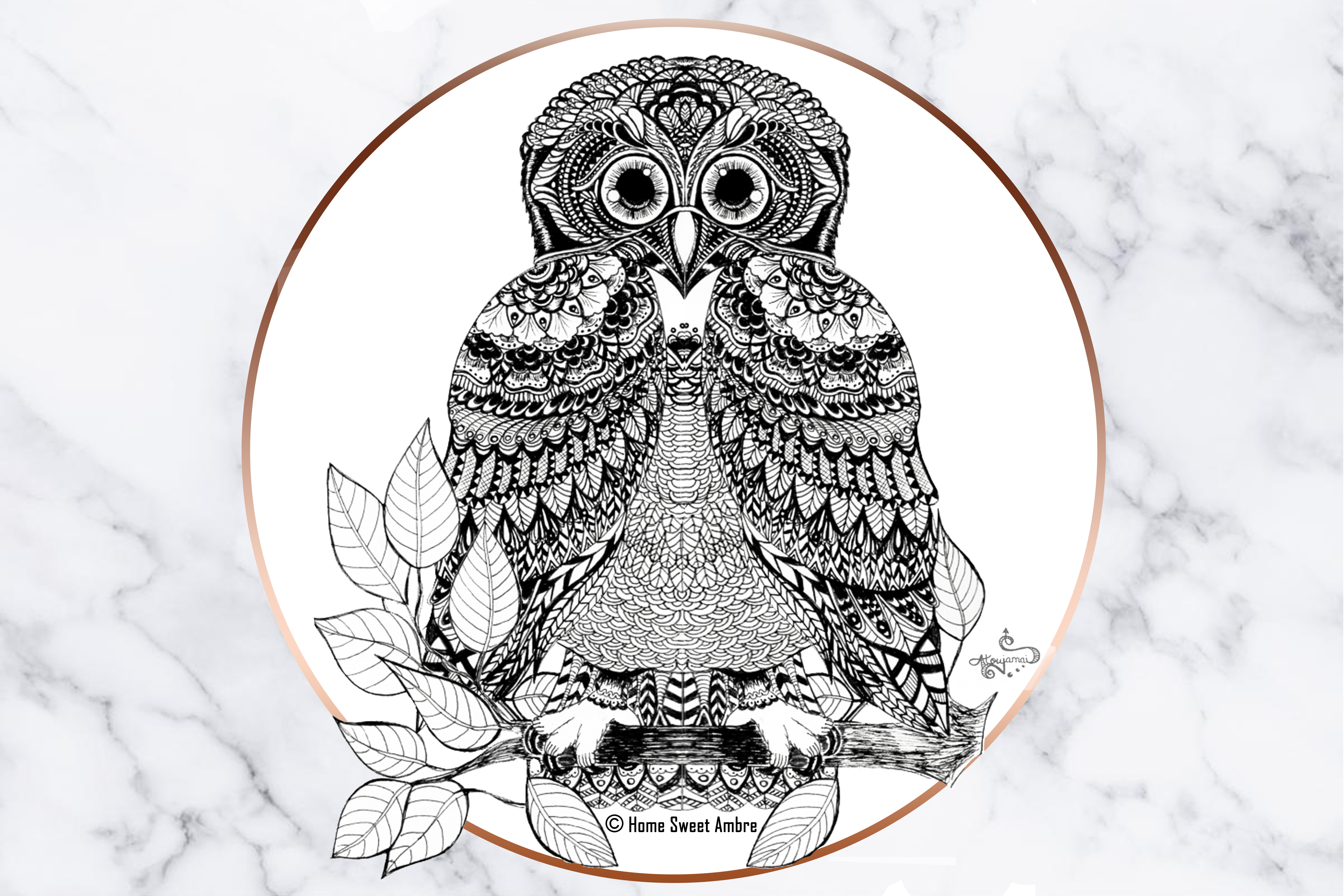 Chouette Hibou dessin en noir et blanc